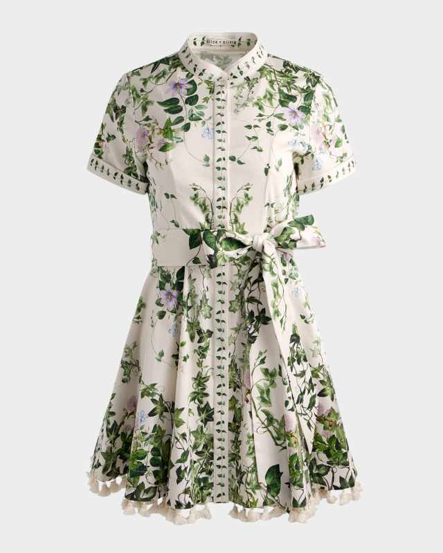 Lucy Ivy Romance Roll-Sleeve Mini Shirtdress
